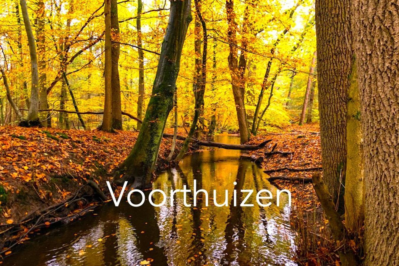 Omheind Natuurhuisje, Prive En Licht, Voorthuizen Veluwe, Naast Het Bos, Zeer Rustig Exterior foto